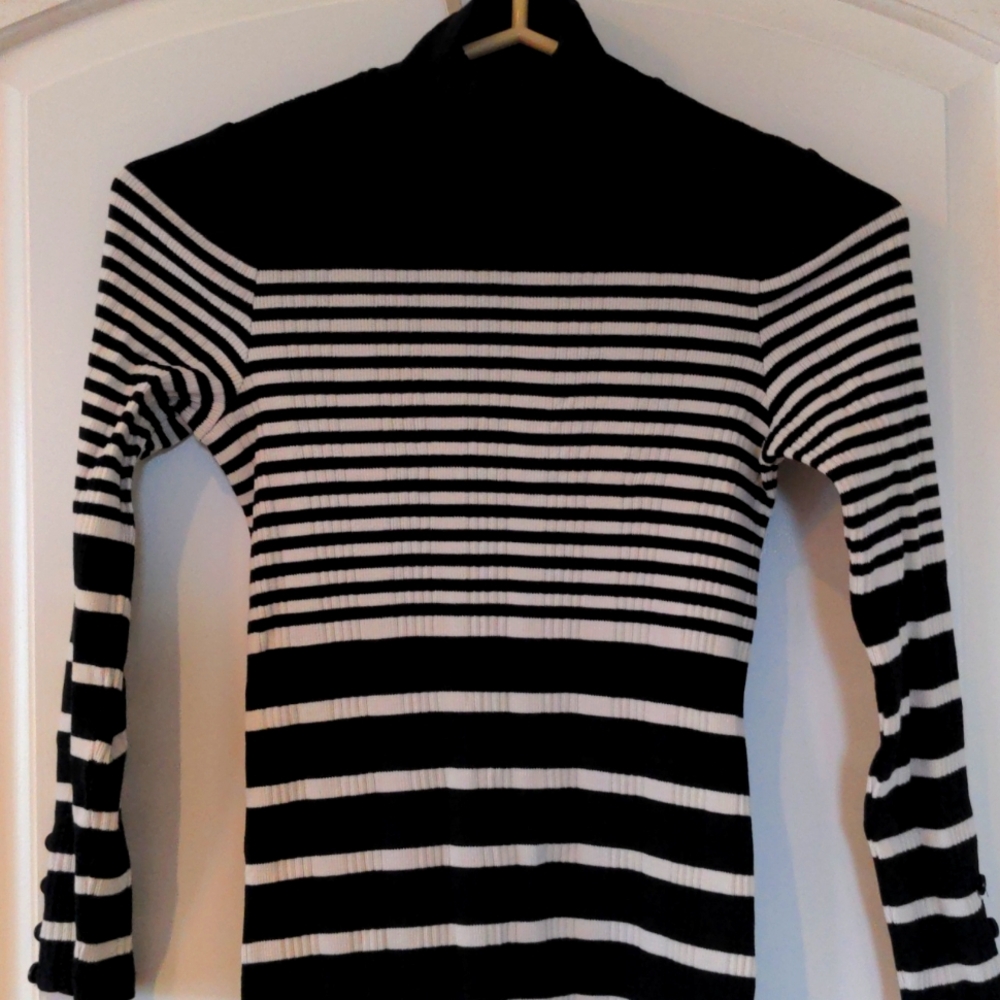 Mock neck Massimo Dutti full length bodycon sweater dress